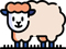 EXPERIENCE WITH WOOL